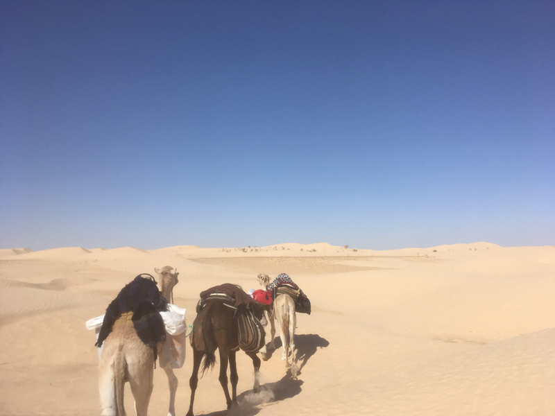 Voyage en Tunisie du Groupe d'Isabelle