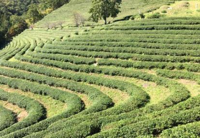 Voyage en Corée du Sud de Dominique