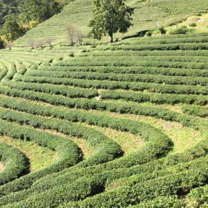Voyage en Corée du Sud de Dominique