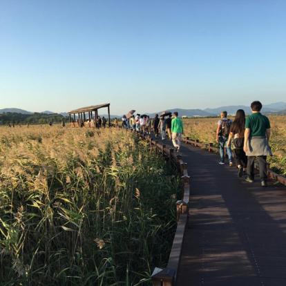Voyage en Corée du Sud de Dominique