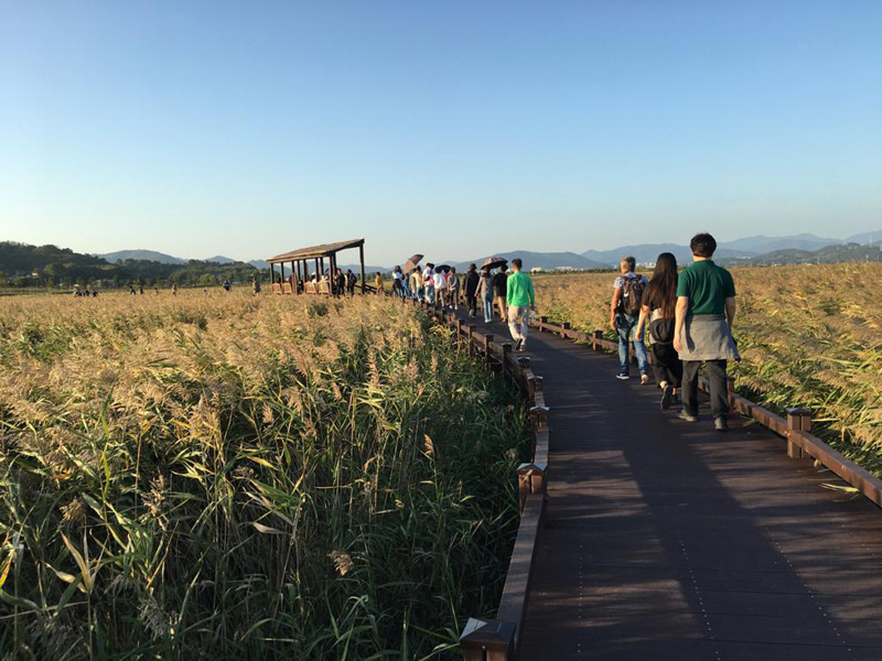Voyage en Corée du Sud de Dominique