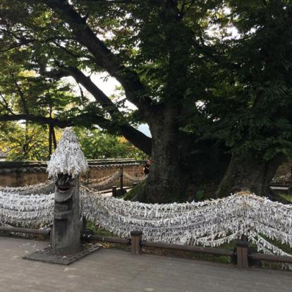 Voyage en Corée du Sud de Dominique