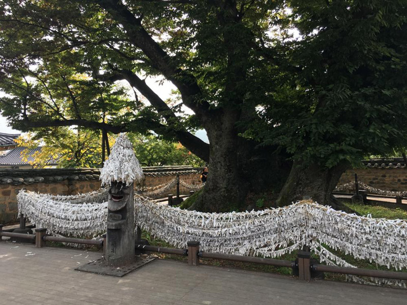 Voyage en Corée du Sud de Dominique