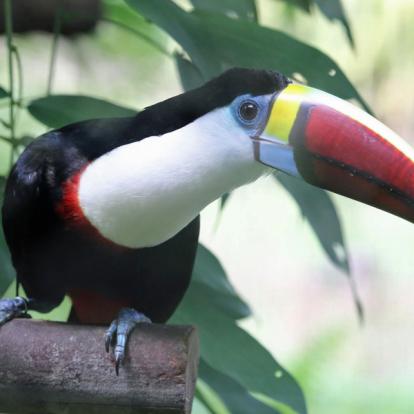 Voyage en Guyane de Serge