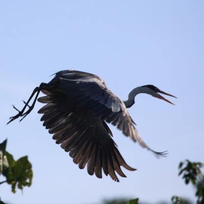 Voyage en Guyane de Serge