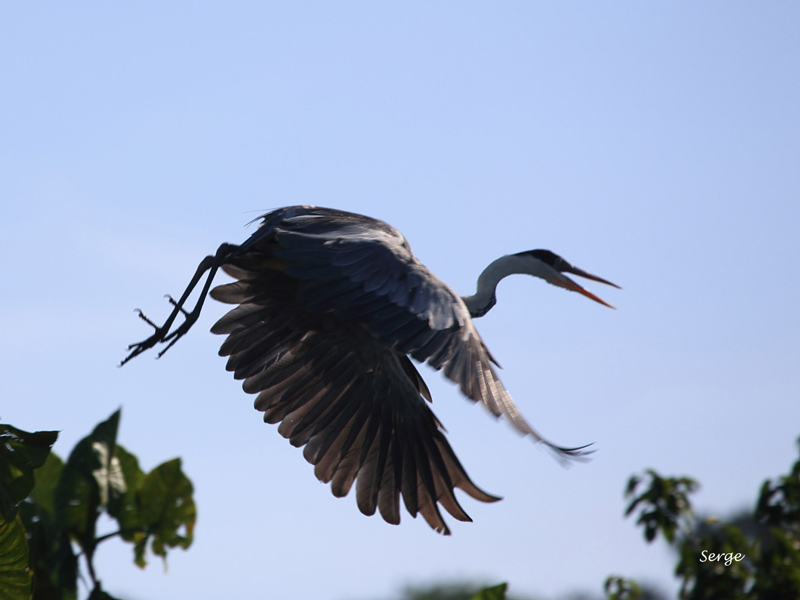 Voyage en Guyane de Serge