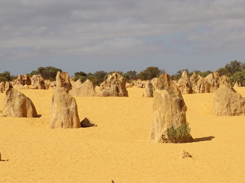 Voyage en Australie Voyage en Australie de Florence
