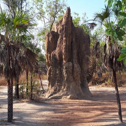 Voyage en Australie de Thibaud & Noémie