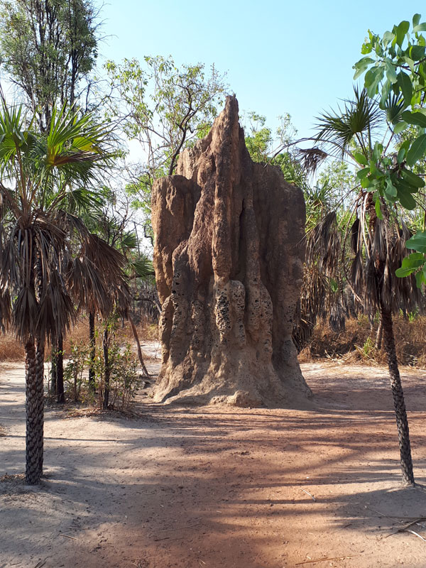 Voyage en Australie de Thibaud & Noémie