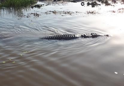 Voyage en Australie de Thibaud & Noémie