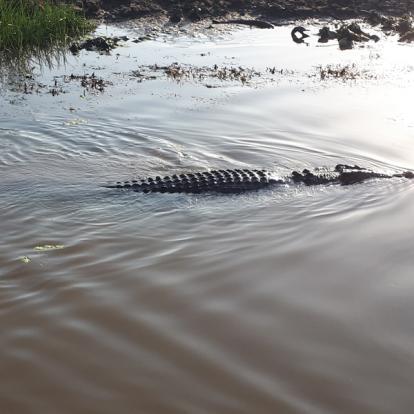 Voyage en Australie de Thibaud & Noémie