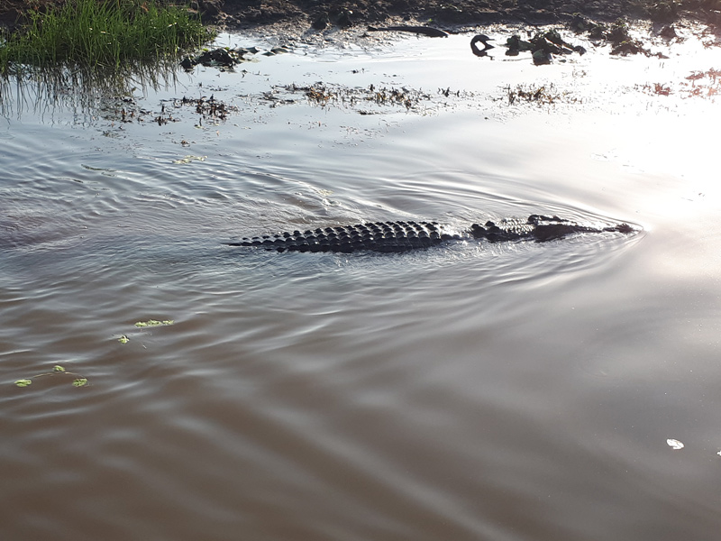 Voyage en Australie de Thibaud & Noémie