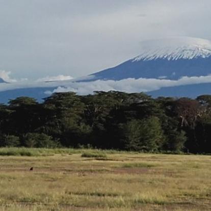Voyage au Kenya de Mireille