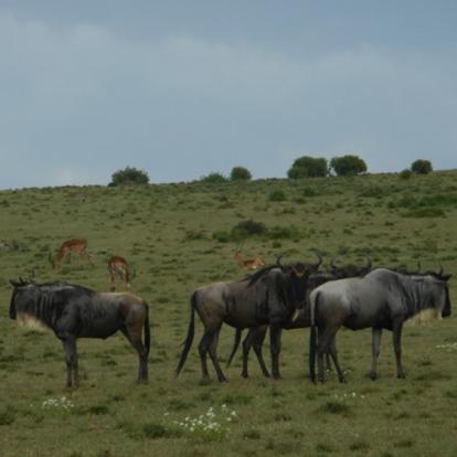 Voyage au Kenya de Mireille