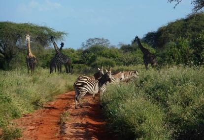 Voyage au Kenya de Mireille