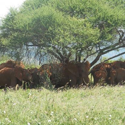 Voyage au Kenya de Mireille