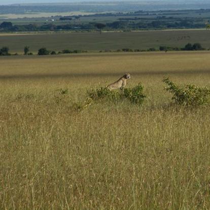 Voyage au Kenya de Mireille