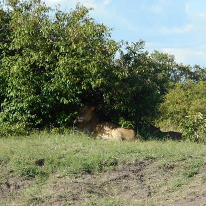 Voyage au Kenya de Mireille