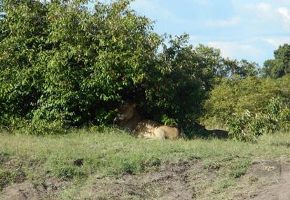 Voyage au Kenya de Mireille