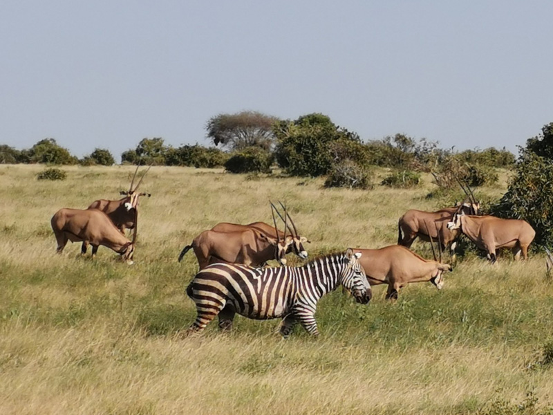 Voyage au Kenya de Michel et Véronique