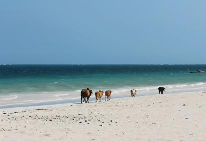 Voyage au Kenya de Michel et Véronique