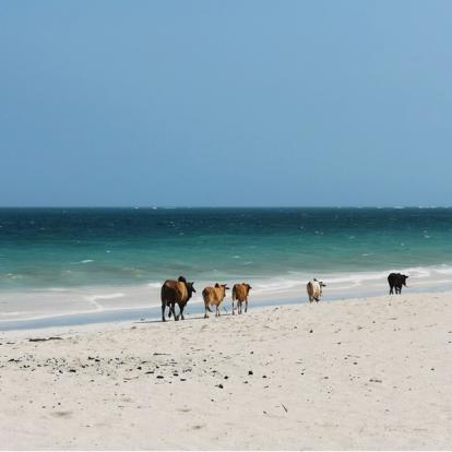 Voyage au Kenya de Michel et Véronique