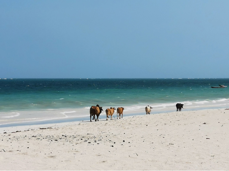 Voyage au Kenya de Michel et Véronique