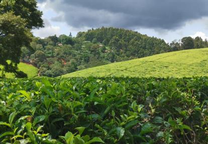 Voyage au Kenya de Michel et Véronique