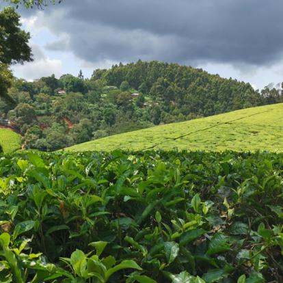 Voyage au Kenya de Michel et Véronique