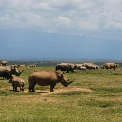 Voyage au Kenya de Michel et Véronique