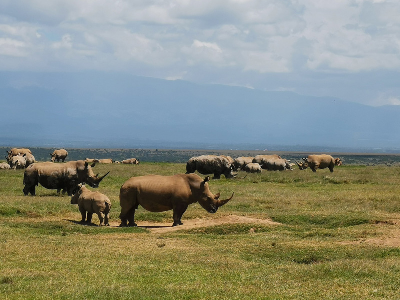 Voyage au Kenya de Michel et Véronique