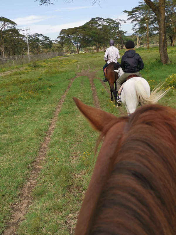 Voyage au Kenya de Michel et Véronique
