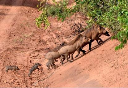 Voyage au Kenya de Michel et Véronique