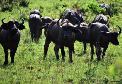 Voyage au Kenya de Michel et Véronique