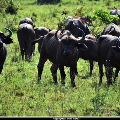 Voyage au Kenya de Michel et Véronique