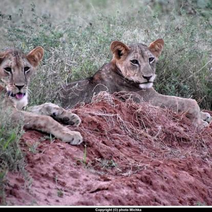 Voyage au Kenya de Michel et Véronique