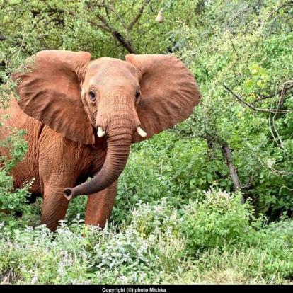 Voyage au Kenya de Michel et Véronique