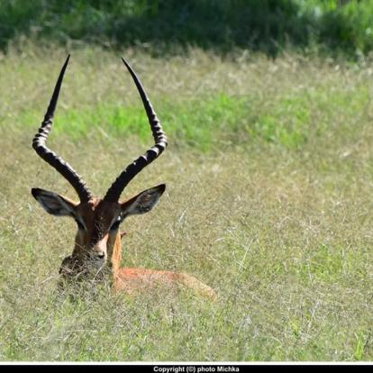 Voyage au Kenya de Michel et Véronique