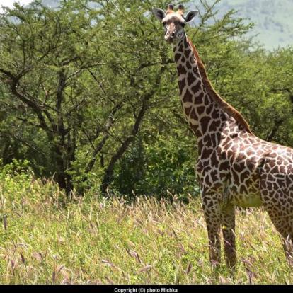 Voyage au Kenya de Michel et Véronique