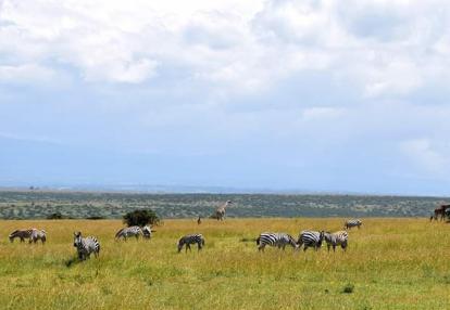 Voyage au Kenya de Michel et Véronique