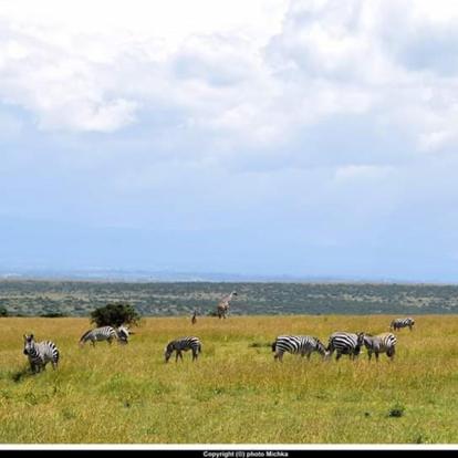 Voyage au Kenya de Michel et Véronique