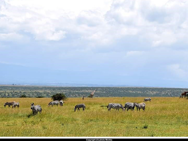 Voyage au Kenya de Michel et Véronique