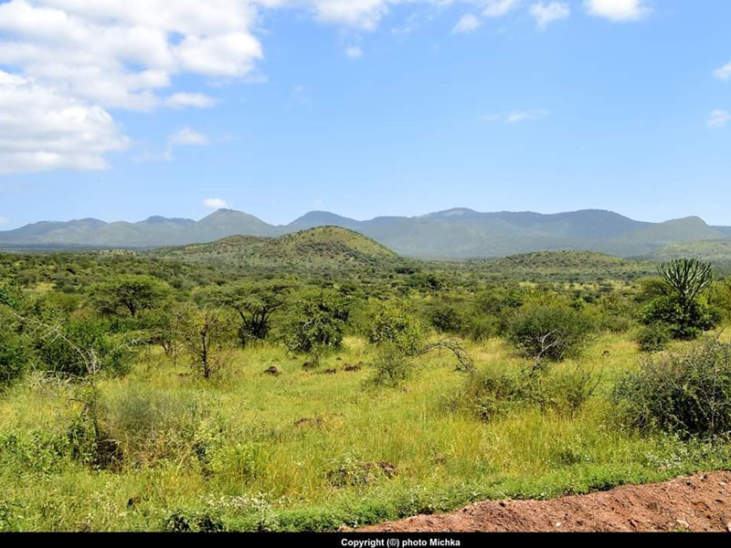 Voyage au Kenya de Michel et Véronique
