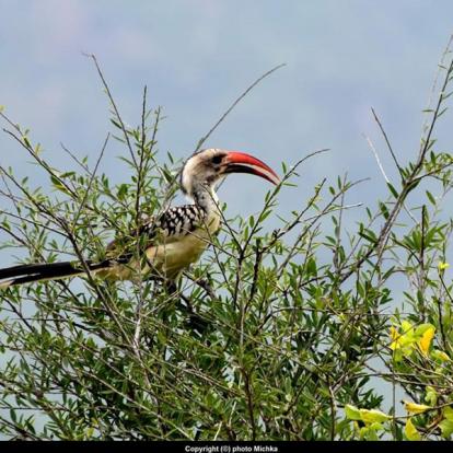 Voyage au Kenya de Michel et Véronique