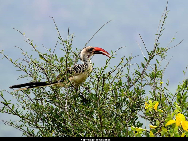 Voyage au Kenya de Michel et Véronique