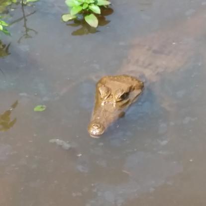 Voyage en Equateur de Nicole