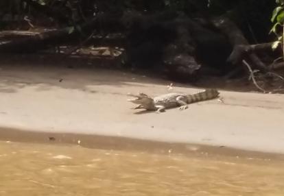 Voyage au Costa Rica de Pascal