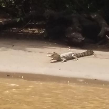 Voyage au Costa Rica de Pascal