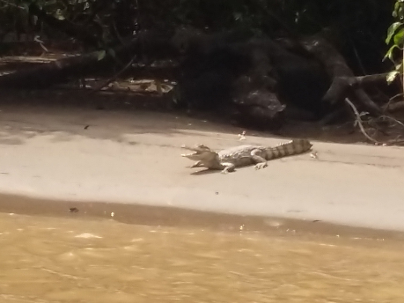 Voyage au Costa Rica de Pascal