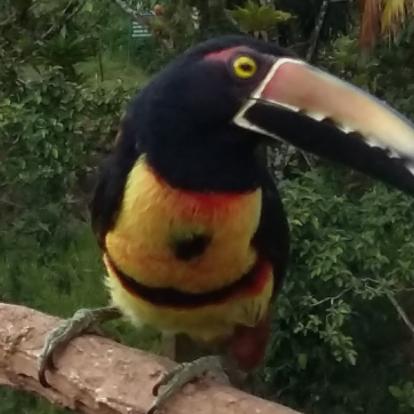 Voyage au Costa Rica de Pascal